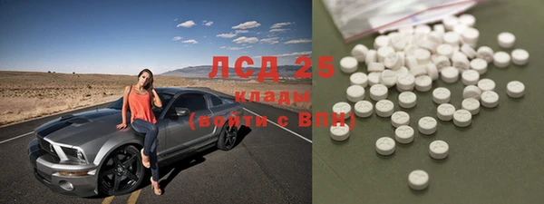 ПСИЛОЦИБИНОВЫЕ ГРИБЫ Беломорск