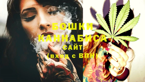 шишки Белокуриха