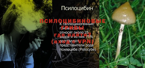 эйфоретик Балахна