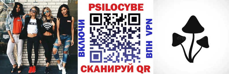даркнет Telegram  Жирновск  Псилоцибиновые грибы Psilocybe 